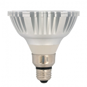 Outdoor LED Bulb